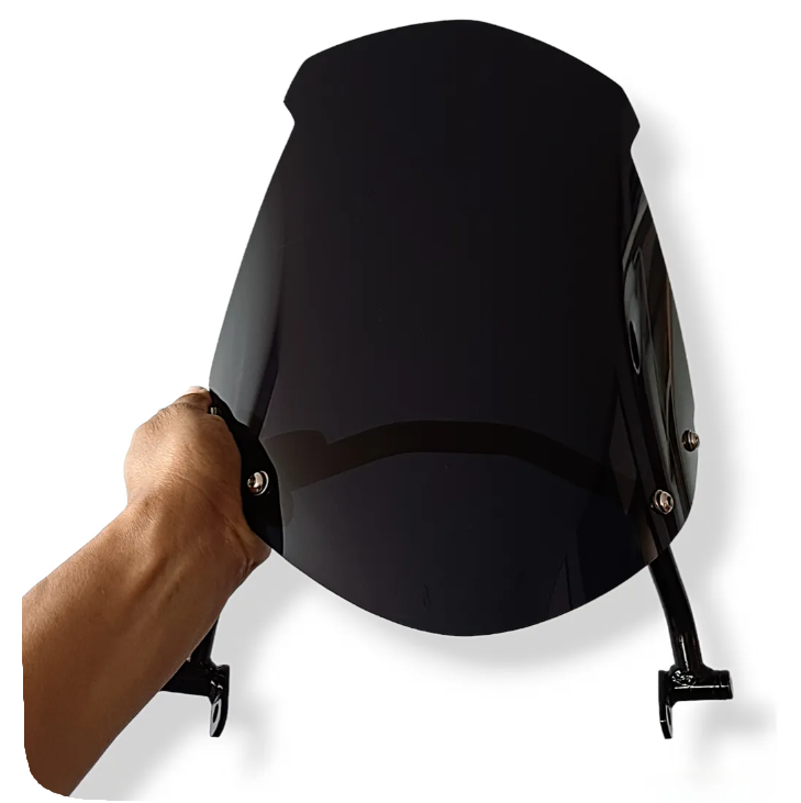VISERA Cupula Pulsar Ns200 Con Base
